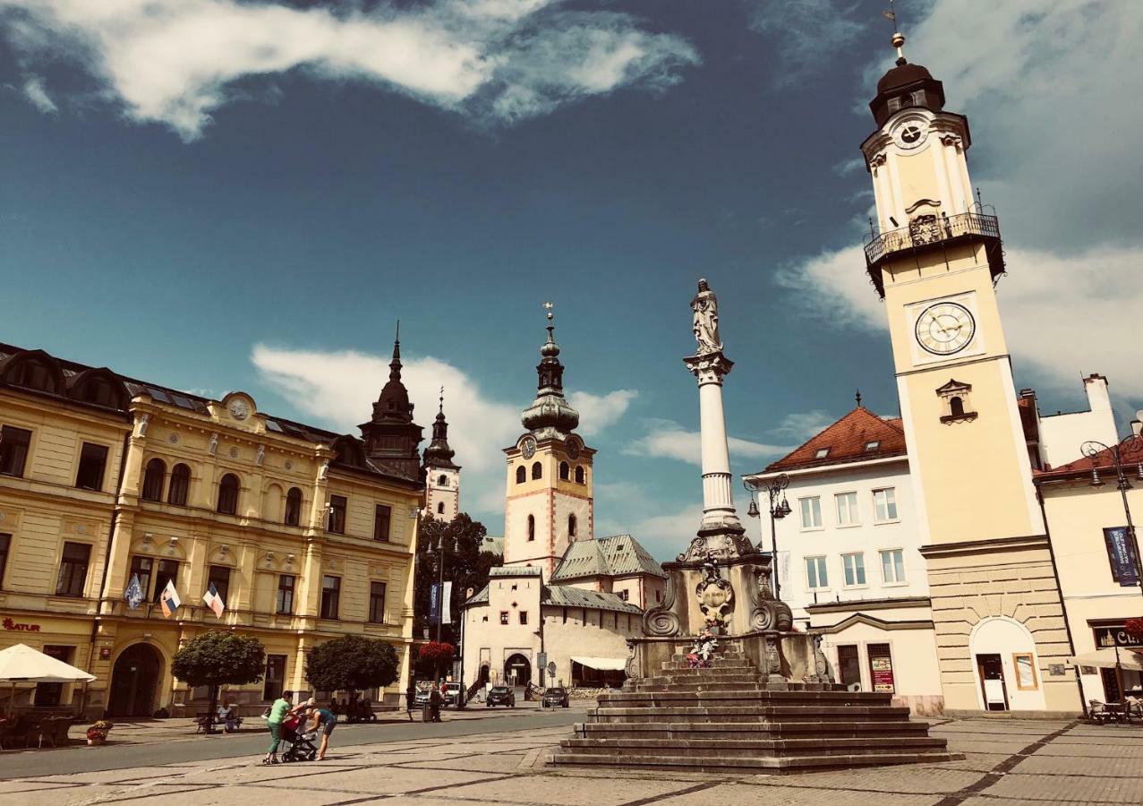 Bl City View Apartment, 24Hr Self Check-In, Free Private Parking, Panoramic View From Balcony, 5-Minute Walk To City Centre Banská Bystrica Extérieur photo